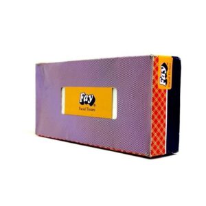 Fay Facial Tissues - 100