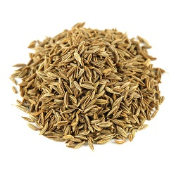 Sweet Cumin (Misti Jira) - মিষ্টি জিরা