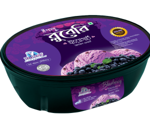 Igloo Blueberry Yoghurt - 1ltr